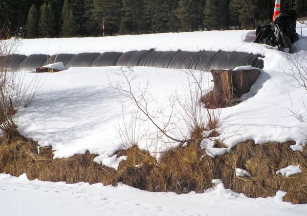 SLT goes forward with Upper Truckee River restoration