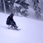 A sit-skier plows through the fresh powder at Whistler on Monday. Photo/Kathryn Reed