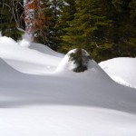 Mounds of snow along the trail.