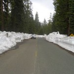 Mosquito Ridge Road east of Foresthill in May at about the 6,000 feet. Photo/Provided  