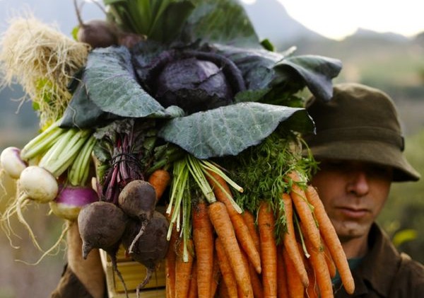 Feast in the Field dinner blends regional food and wine