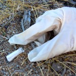 Cigarette butts littered Rabe Meadow and Nevada Beach. Photo/Kathryn Reed