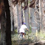 Sue Wood rides through the burned forest of Gardner Mountain. Photos/Kathryn Reed