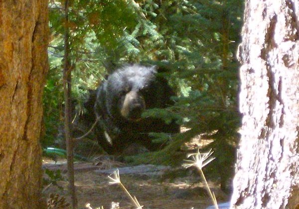 Snippets about Lake Tahoe