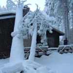 Keith Cooney looks at the tree leaning on and in his South Lake Tahoe home. Photo/Kathryn Reed