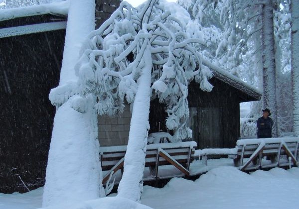 Storm downs trees, power lines; shelter open in S. Tahoe