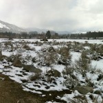 Rabe Meadow between Stateline and Round Hill may be a future site for the first phase of a proposed bike link.  