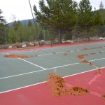 No one talks about the sorry shape Tahoe Paradise Park is in -- and Measure S is supposed to help it. Photo/Kathryn Reed