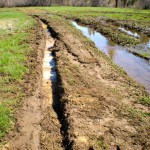 Tire ruts will become hard and "permanent" as the water recedes.