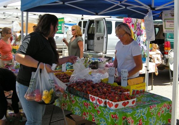 Visit LTN at today’s farmers’ market