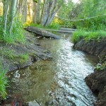 Burke Creek in Stateline is carry tons of sediment into Lake Tahoe. Photos/Kathryn Reed