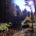 Trout Creek is higher in October than it has been in years. Photo/LTN