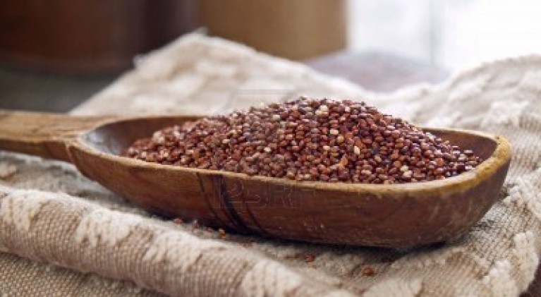 Quinoa, the popular but misunderstood grain