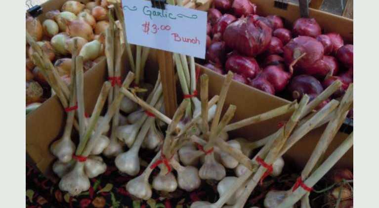 Farmers’ market season arrives in Lake Tahoe