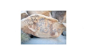 Vandals have forced parts of Joshua Tree to close. Photo/National Parks Traveler