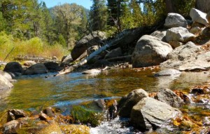 The former Tahoe Pines Campground includes 915 linear feet along the Upper Truckee River. Photos/Kathryn Reed