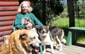 Dawn Armstrong with Lexie, Noodles and Goldie. Photo/Provided