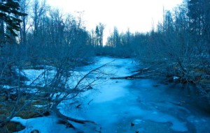 Cold overnight temps keep Taylor Creek on the South Shore frozen, but there is no snow along the banks. Photo/Kathryn Reed