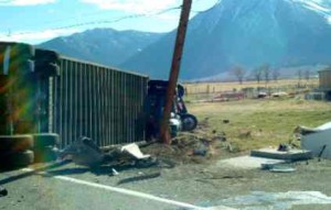 A truck carrying cattle overturned March 11 in the Carson Valley. Photo/Provided