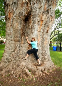 Sue Wood tried to do a little tree climbing at Sonoma Square.