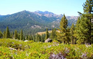 There is more wilderness than people in Alpine County. Photo/LTN