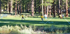 The field at Lake Tahoe Community College needs replacing.