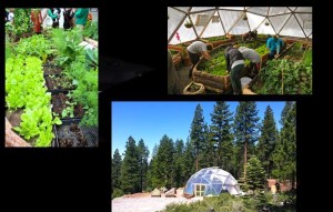 The Truckee growing dome is featured in the film "Elevate Tahoe" . Photos/Provided