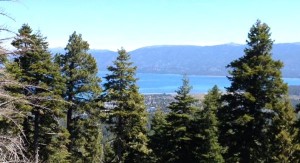 U.S. Forest Service buys land on Tahoe Mountain. Photo/Provided