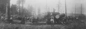 Lumber being hauled in the early 1900s. Photo/Lake Tahoe Historical Society