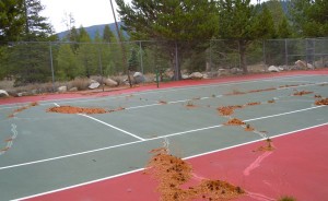 Tahoe Paradise Resort Improvement District has no plans to fix the tennis court nearest the entrance. Photo/LTN file