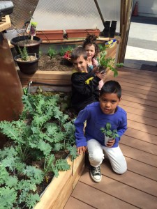 Sierra House students show off what they are growing in the dome. Photo/Provided