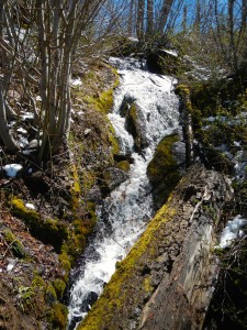 The waterfall at Van Sickle.