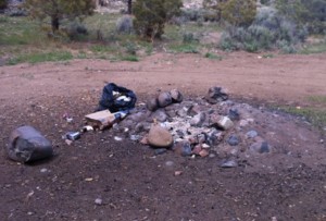 Some of the trash found in Alpine County. Photo/Provided