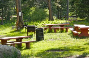 Tahoe Paradise Park's board is running the facility without a manager. Photo/LTN