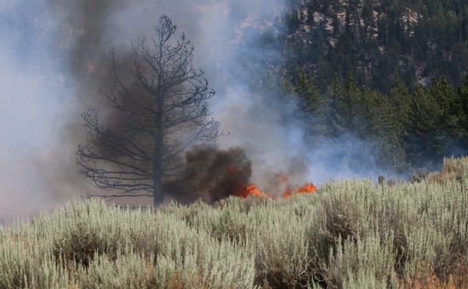 U.S. launches plan to battle rangeland wildfires