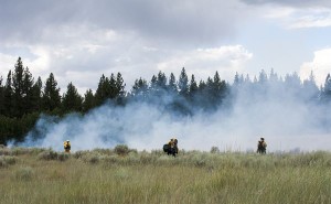 Grassy areas in the West are dry and quick to burn with this being year four of the drought. Photo/Carolyn E. Wright/Copyright