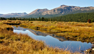 There was a time when this area south of Lake Tahoe was slated to be paved over. Photo/Provided