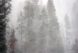 Snow was blowing at Sierra-at-Tahoe for much of Dec. 10. Photo/Provided