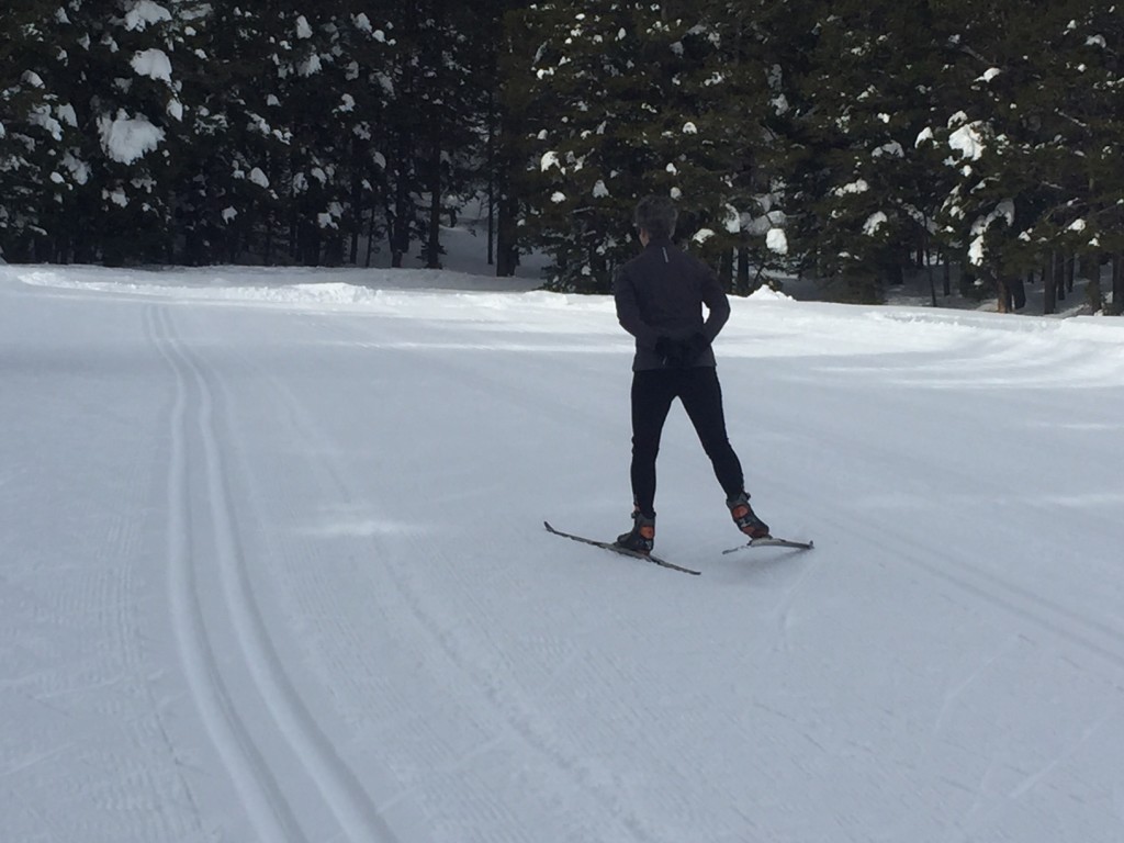 Laura Cabral makes skate skiing look effortless.