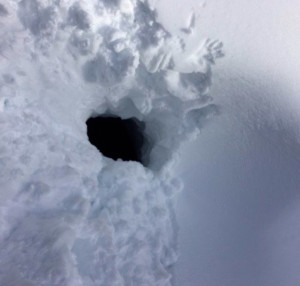 mage of the hole slightly smaller than a street manhole cover 10 yr old Samantha White fell into while snowshoeing. Photo/Marin County Sheriff's Department