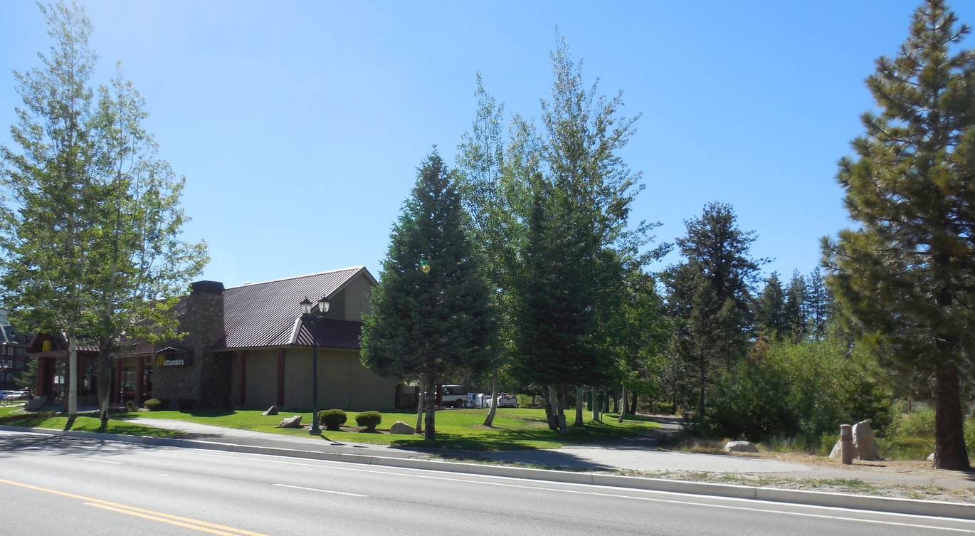 Wakeman also recalls several small vacation cottages along a stream between the Bijou Park Club and Tahoe Meadows. Evidence of that stream bed is still visible behind the tree at far right. Photo/Bill Kingman