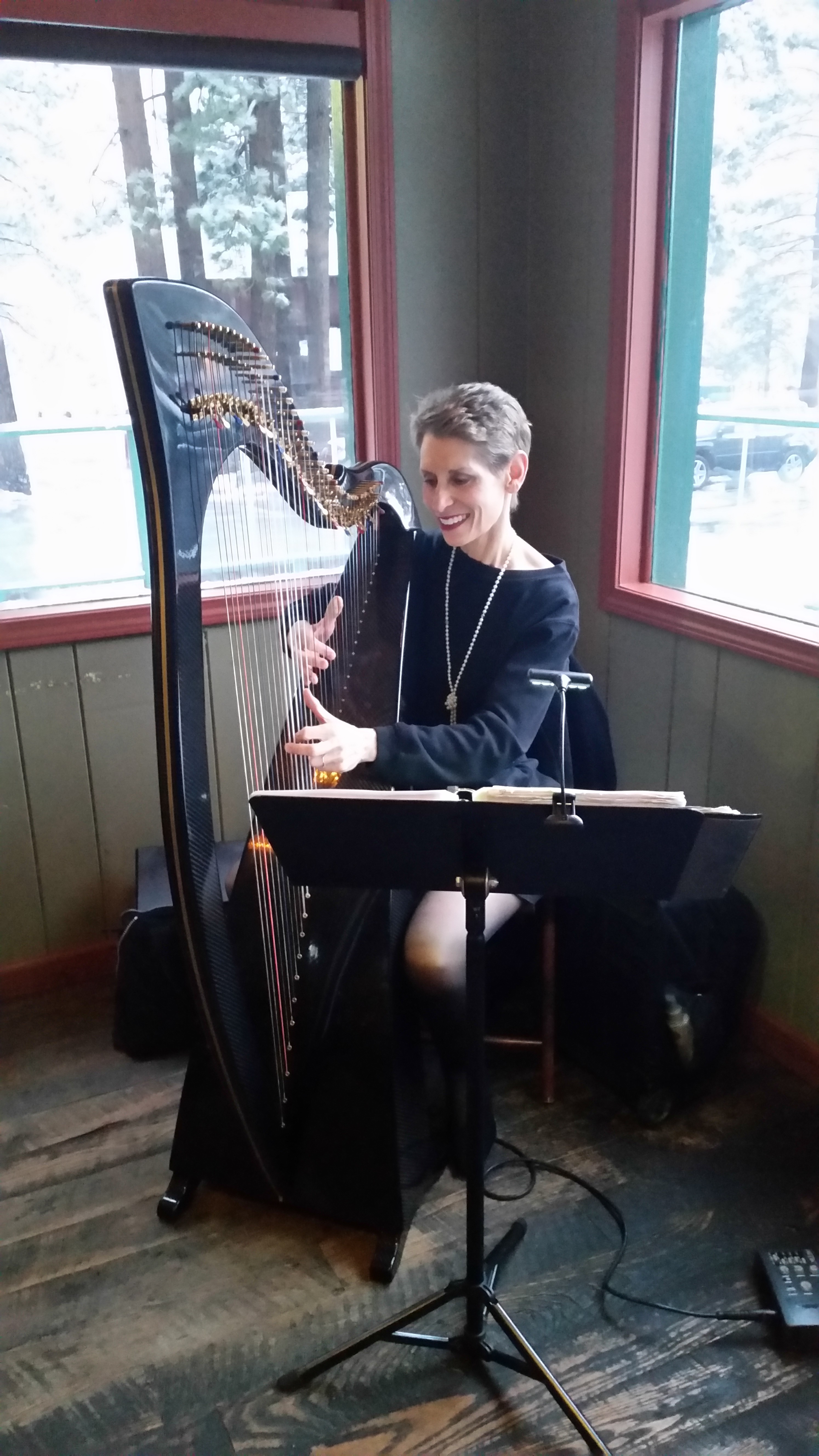 Grammy-winning harpist Anne Roos plays at Zephyr Cove Lodge, now that the restaurant is having live music on occasion. Photo/LTN