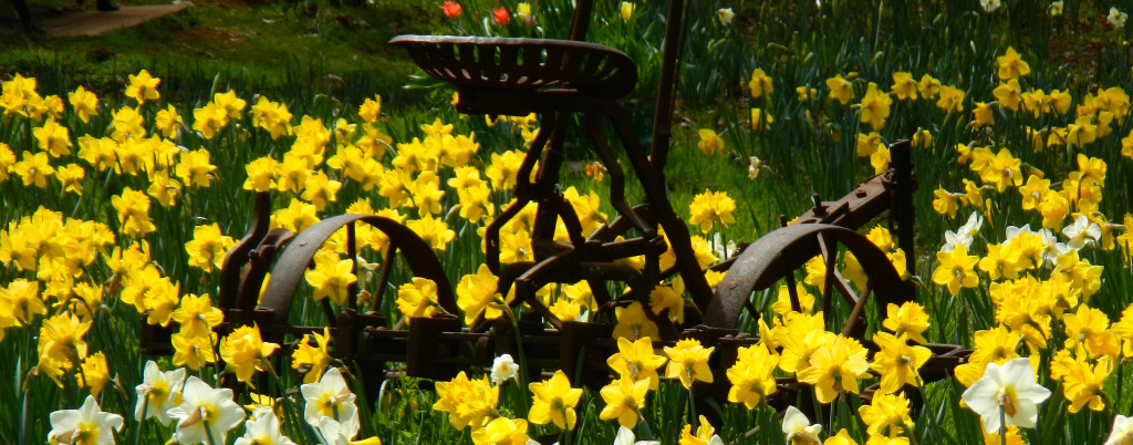 Old farm equipment and some of the original buildings are scattered about. Photo/Kathryn Reed