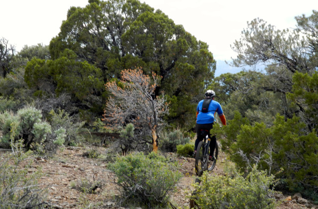 Mountain bike group fights for wilderness access