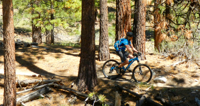 Clear Creek is a popular mountain biking trail. Photo/Kathryn Reed