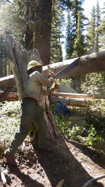 Seasonal forest rangers do a variety of work, including clearing the Pacific Crest Trail. Photo/Provided