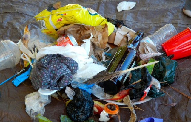 Sue Westphal's 5 pounds of trash collected from Kiva Beach on July 5. Photo/Kathryn Reed