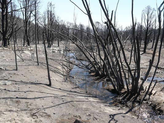 The severity of the fire in Great Basin National Park is partially being blamed on climate change and past management practices. Photo/National Park Service/Gretchen Baker