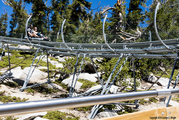 The coaster at Heavenly is an added reason to visit the resort. Photo Copyright 2016 Carolyn E. Wright