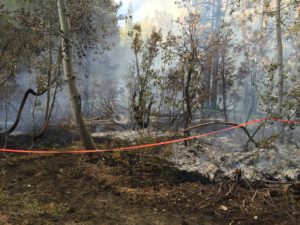 More than a half acre burned at Spooner Lake on Sept. 20. Photo/USFS